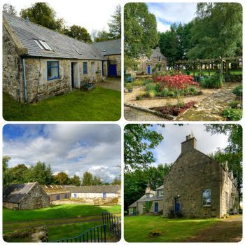 12-q8f6u6vtwgrn47h0perlxojwxrka7sitzt8pyl74to