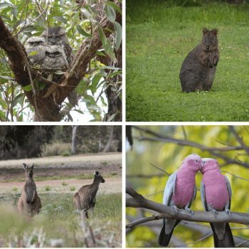 2-1-q8f3bqnghtnz8p5e391f03ak0otnpnis9xs6riorvw