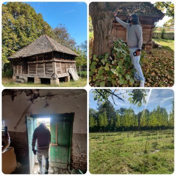 9-q8f4h1o4tq7lft5ew3t7ko1rs98byti5adubz9fygc